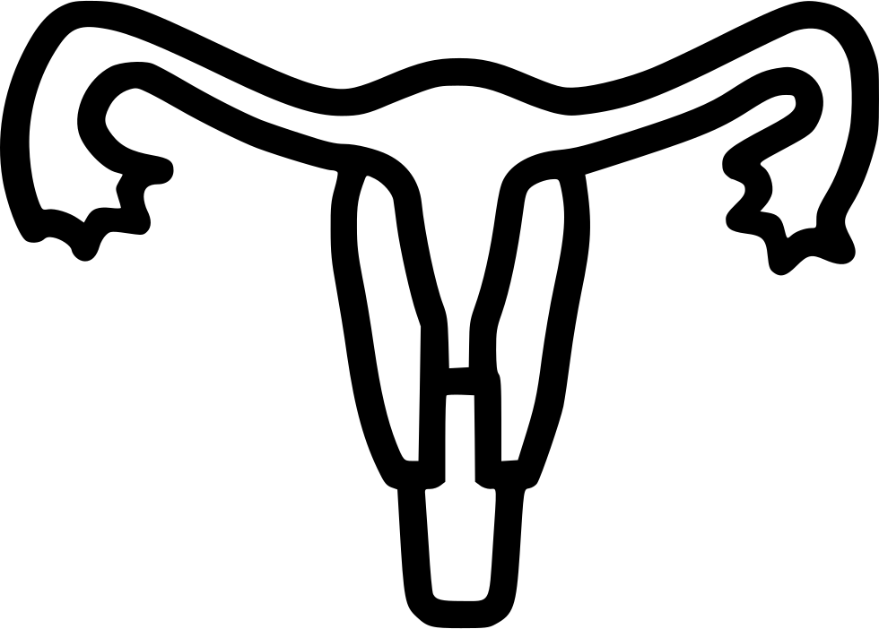 Uterus Human Body Part Medical Tube Uterine Comments - Obstetrician-gynecologist Clipart (980x702), Png Download