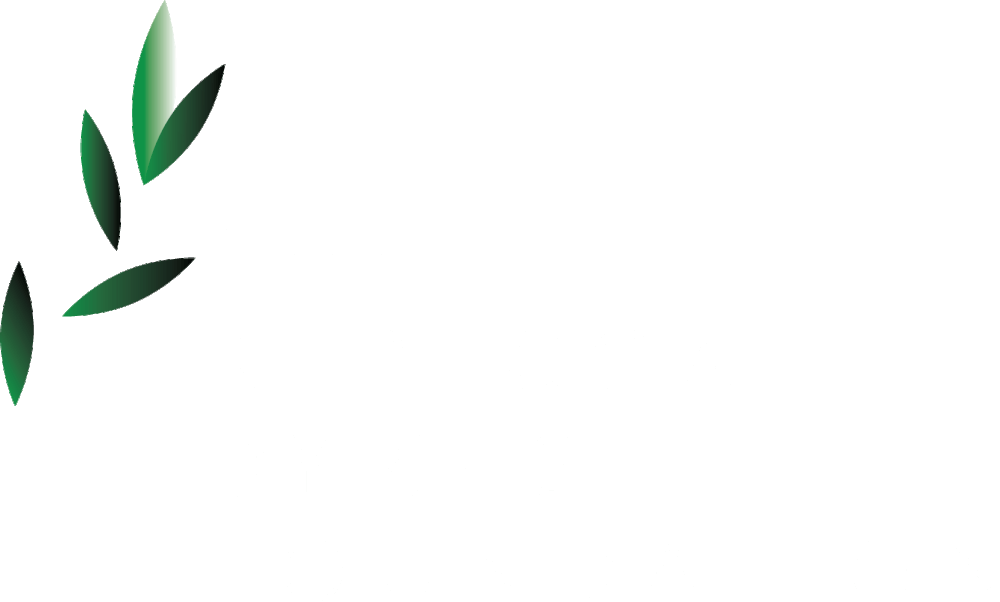 Rebecca Dykes Foundation Clipart (1000x602), Png Download