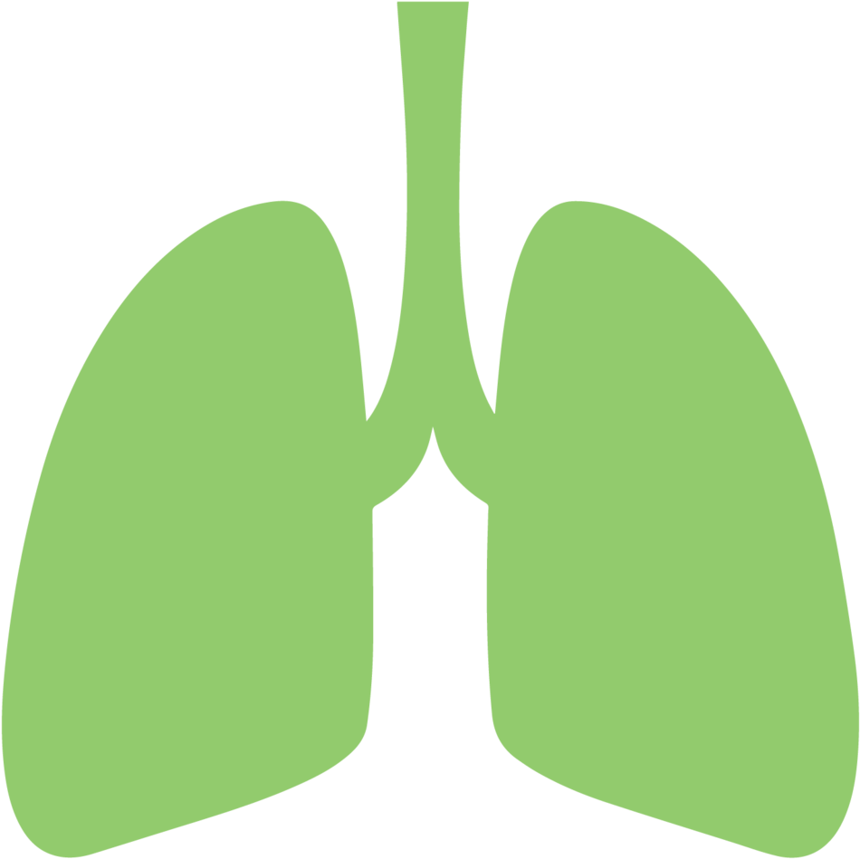 Respiratory/lung Issues - Lung Clipart (1000x1000), Png Download