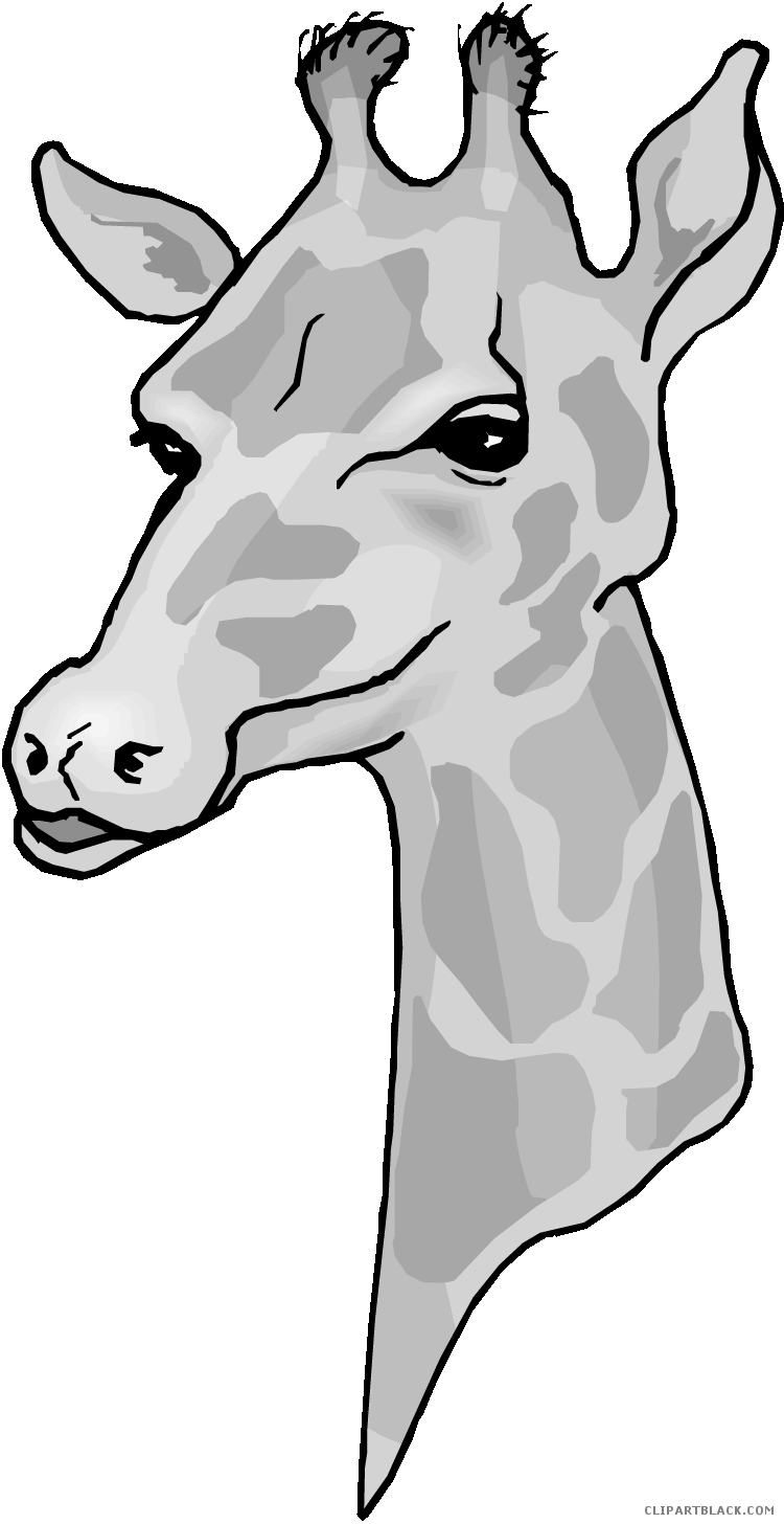 Giraffe Head Clipart - Clip Art - Png Download (750x1456), Png Download