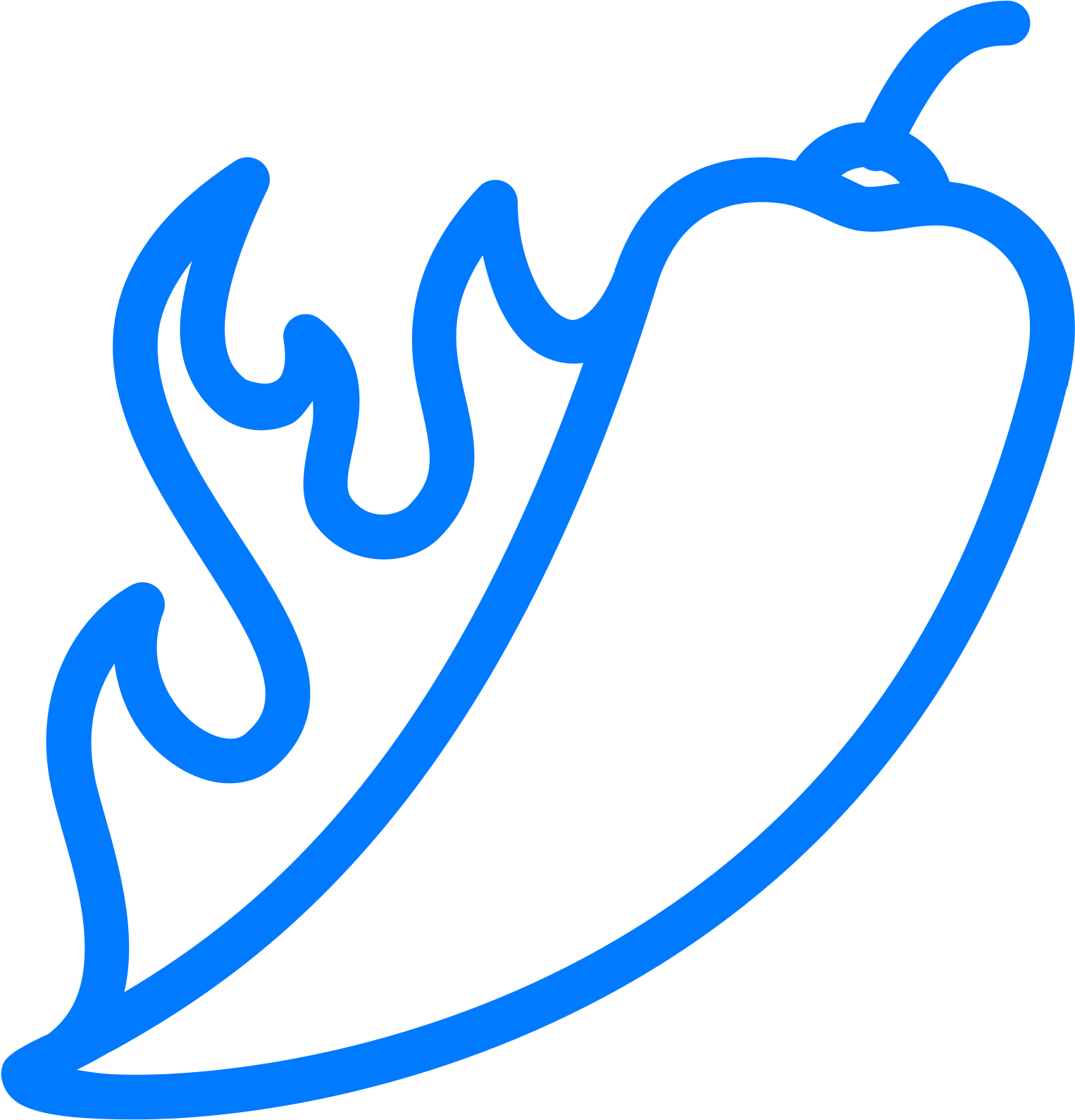 Chili Pepper Icon Clipart (1600x1600), Png Download