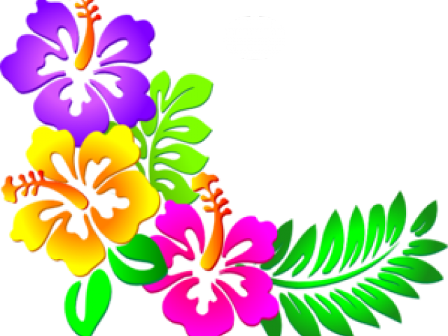 Hibiscus Clipart Design - Corner Flower Border Designs Png Transparent Png (640x480), Png Download