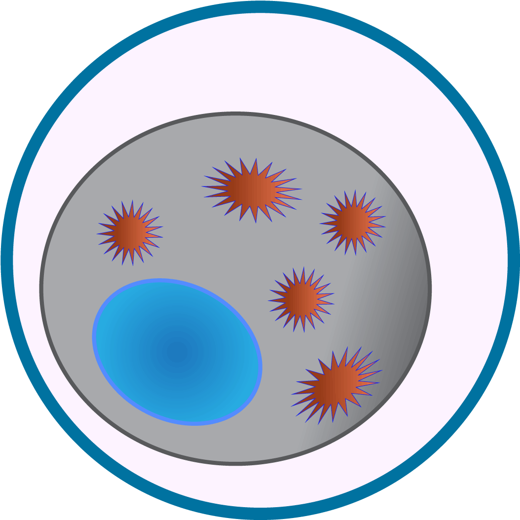 Virus Icons-05 - Circle Clipart (1083x1083), Png Download