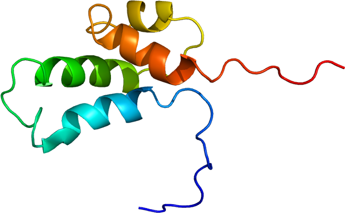 Dna Polymerase Beta Clipart (758x487), Png Download