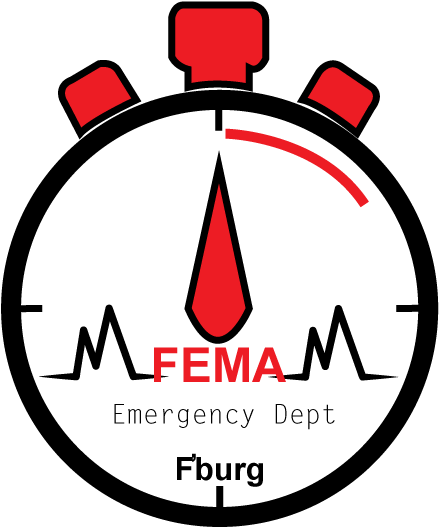 It Company Logo Design For Fema In United States Clipart (595x842), Png Download