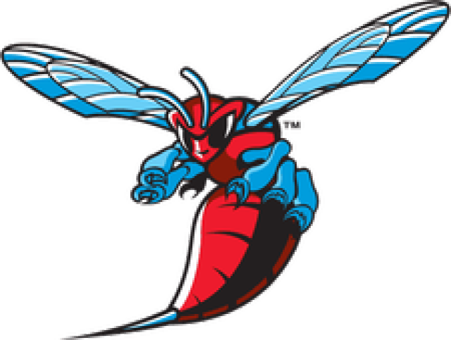 Adjeddwsfnemuuz - 20170907171231 - Delaware State University Hornets Logo Clipart (640x483), Png Download