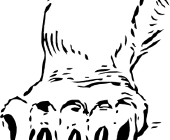 Claw Marks Clipart - Bear Claws Clipart Black And White - Png Download (640x480), Png Download