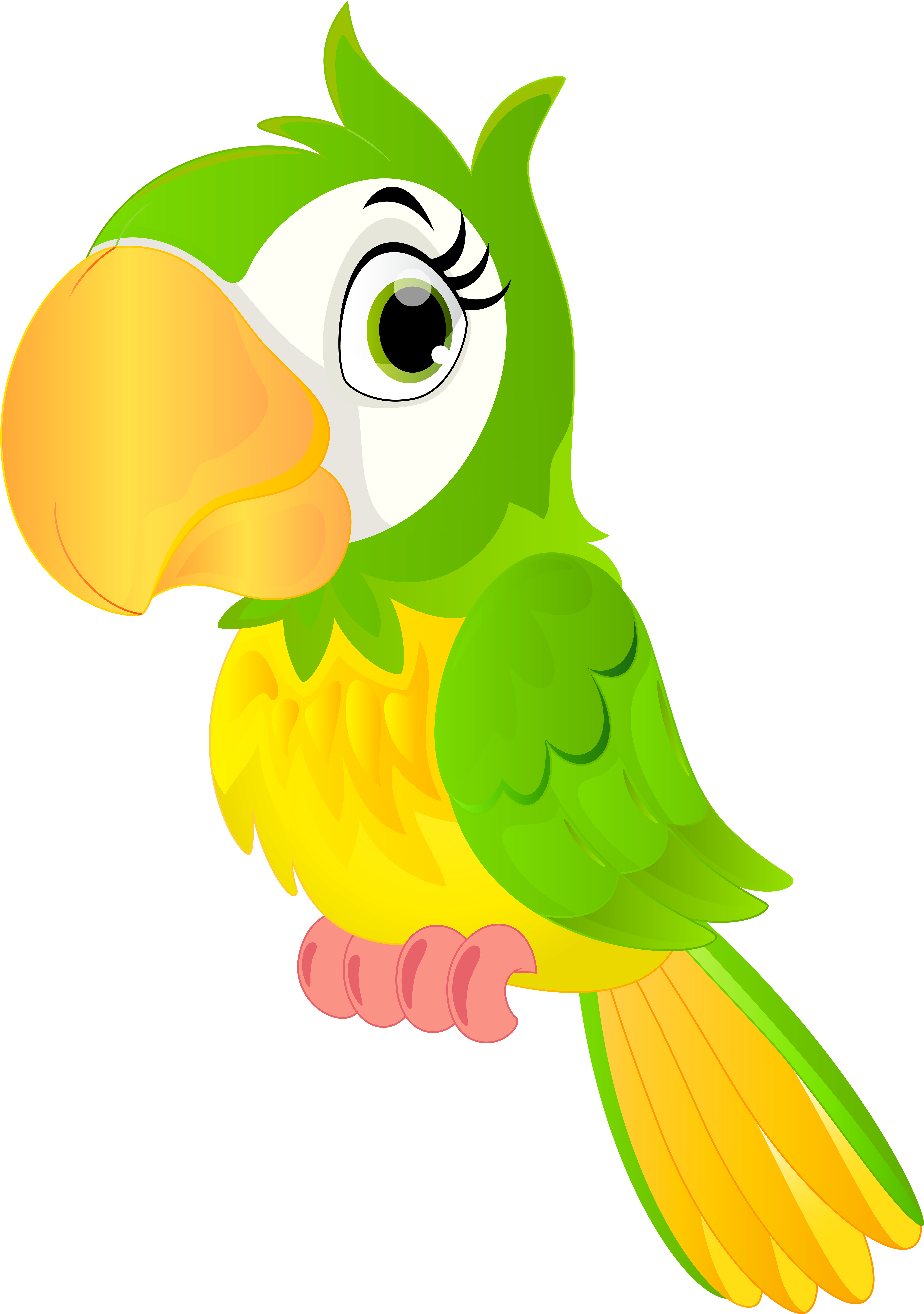 Free Png Parrot Cartoon Png Images Transparent Clipart (480x683), Png Download