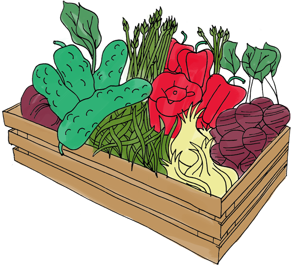 Step 1 - Rhubarb Clipart (600x548), Png Download