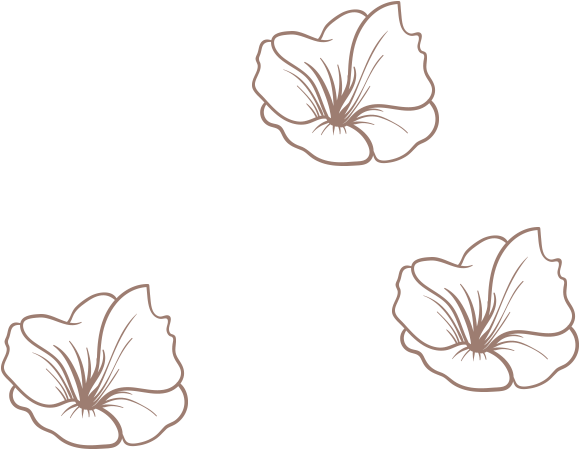 Our Definition Of Comfy-cute - Anthurium Clipart (1060x499), Png Download