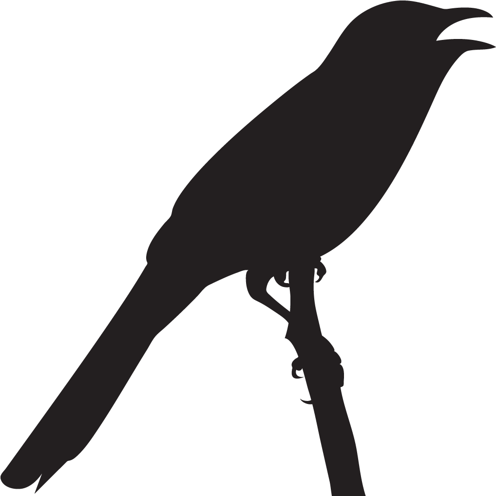 Vireo Clipart Probably - Png Download (1024x1024), Png Download