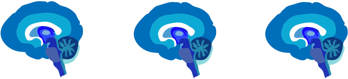 Columbia University Neuroscience Outreach - Late Night Science Clipart (1222x294), Png Download