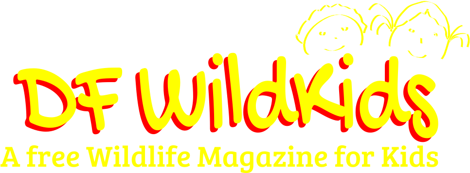 Df Wildkids Magazine October 2016 Video Edition - Eazydiner Clipart (965x381), Png Download