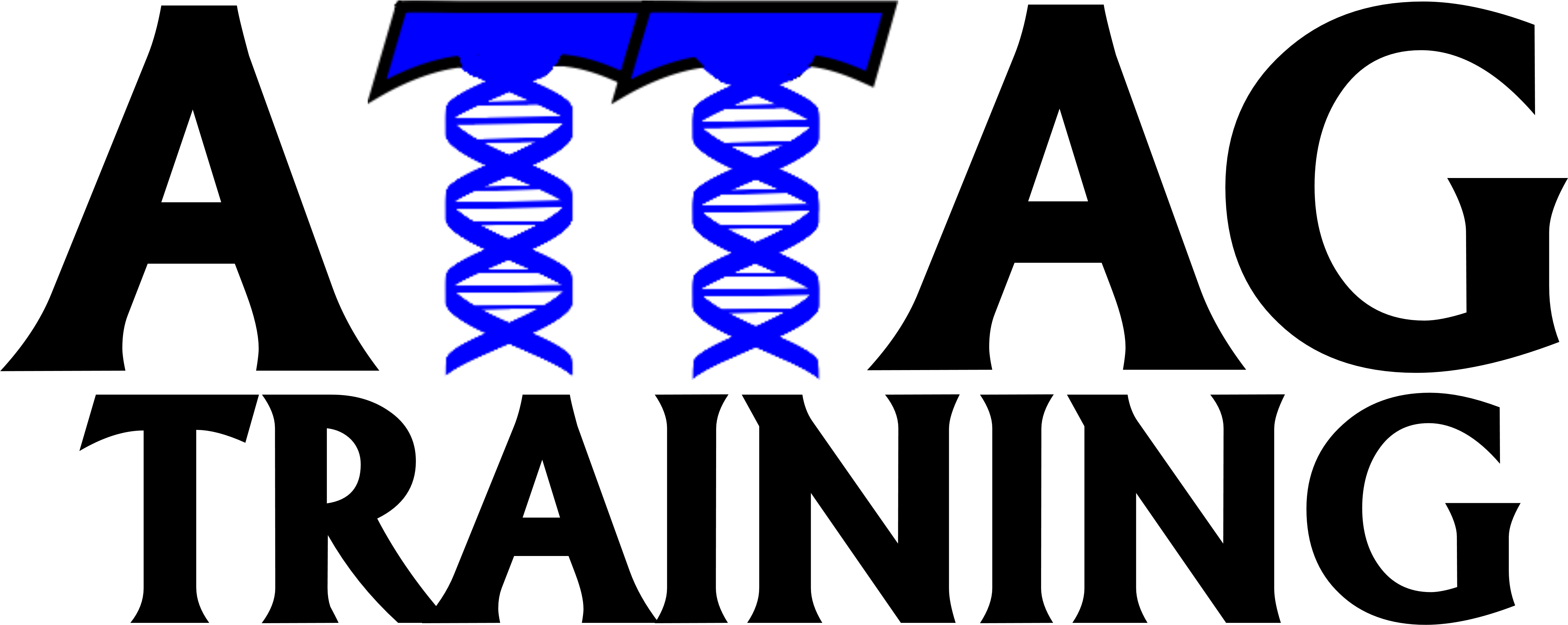 Attag Training Logo Blue Clipart (1024x507), Png Download