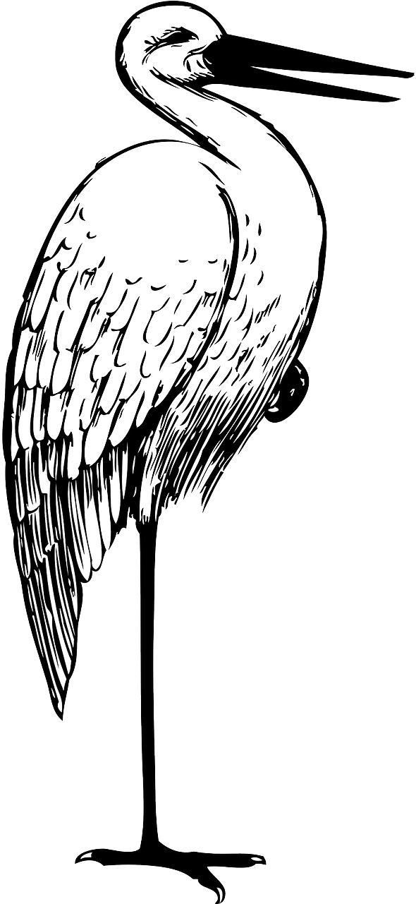 Stork Clipart Black And White - Png Download (640x1280), Png Download