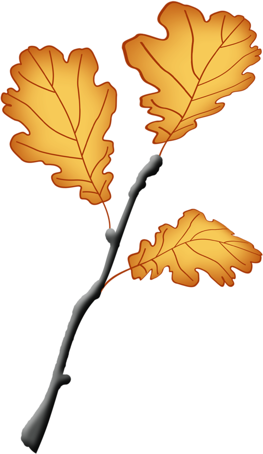 Pbp Yalana Om Element9 - Autumn Leaf Color Clipart (763x1024), Png Download