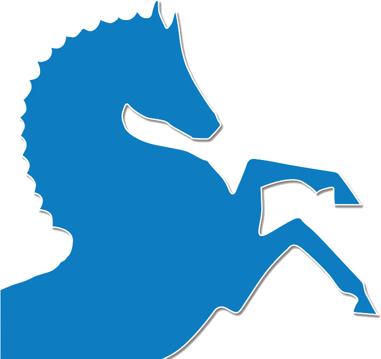 Horse Care Tagged "studs & Farrier's Tools" Summit Clipart (780x828), Png Download