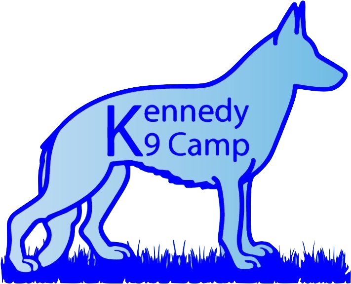 33f6d494 09d7 11e9 9c3f 0242ac110002 16ba8118 0352 - Kennedy K9 Camp Clipart (1120x640), Png Download