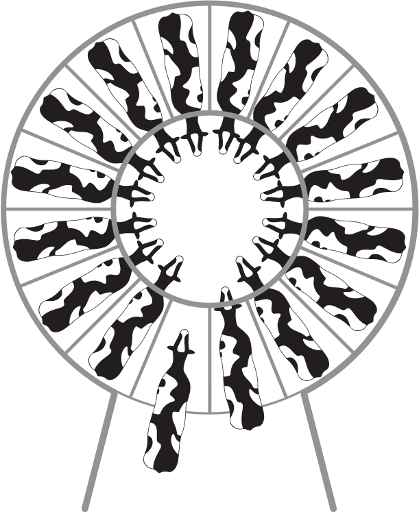 Svg Freeuse Drawing At Getdrawings Com Free For Personal - Circle Clipart (611x747), Png Download