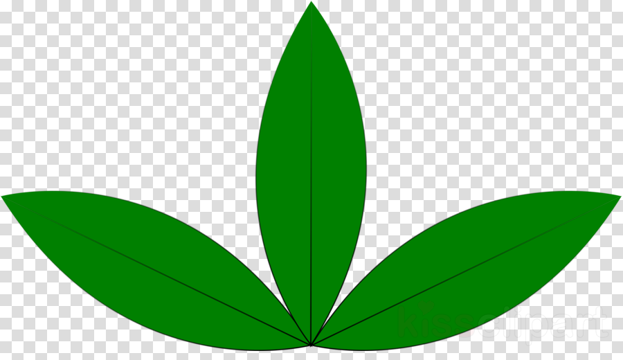 Three Green Leaves Clipart Leaf Clip Art - Butterfly Icon Transparent Background - Png Download (900x520), Png Download