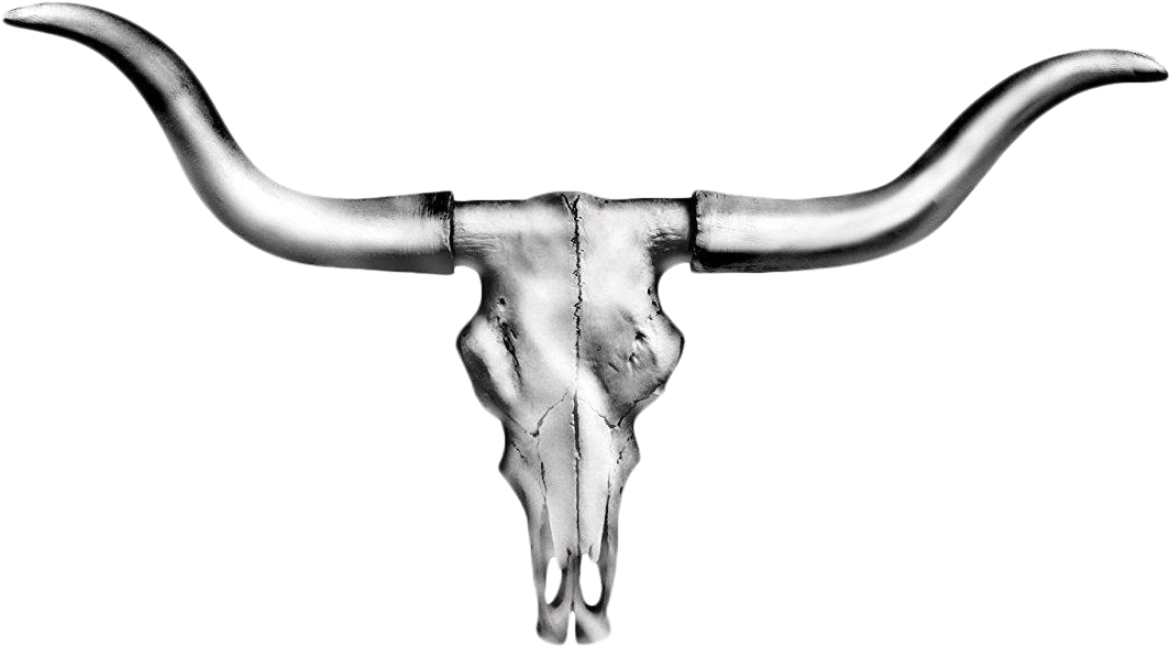 Wall Charmers Faux Carved Metallic Silver Texas Longhorn - Austin Texas Longhorn Wall Décor Wall Charmers Clipart (1181x652), Png Download