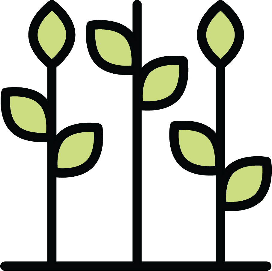 Produce Stand Clipart (907x905), Png Download