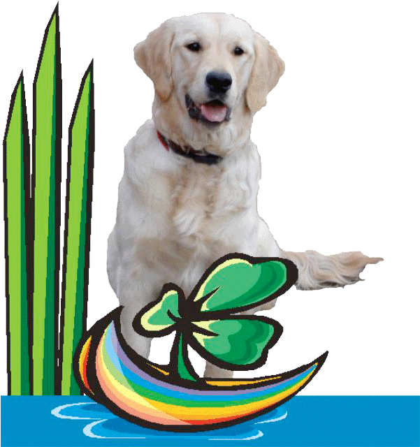Golden Retriever Clipart (600x650), Png Download