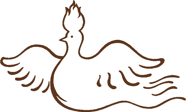 Mirapuri-bird Omnidiet Logo - Illustration Clipart (800x490), Png Download