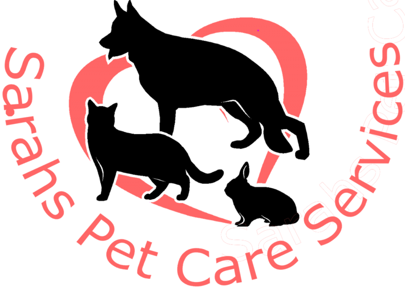 Sarah's Pet Care Services - Blue Tree Clipart (800x571), Png Download