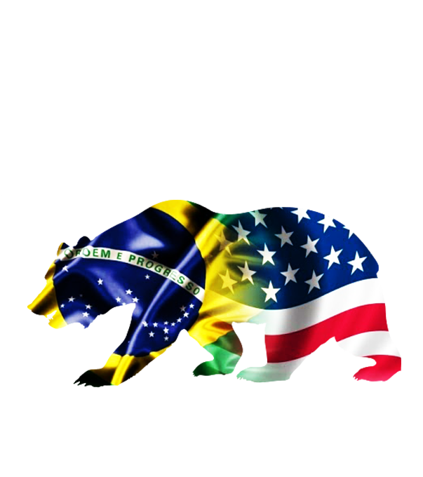 Social Media - Minidicionário Escolar De Português - Ciranda Cultural Clipart (640x709), Png Download