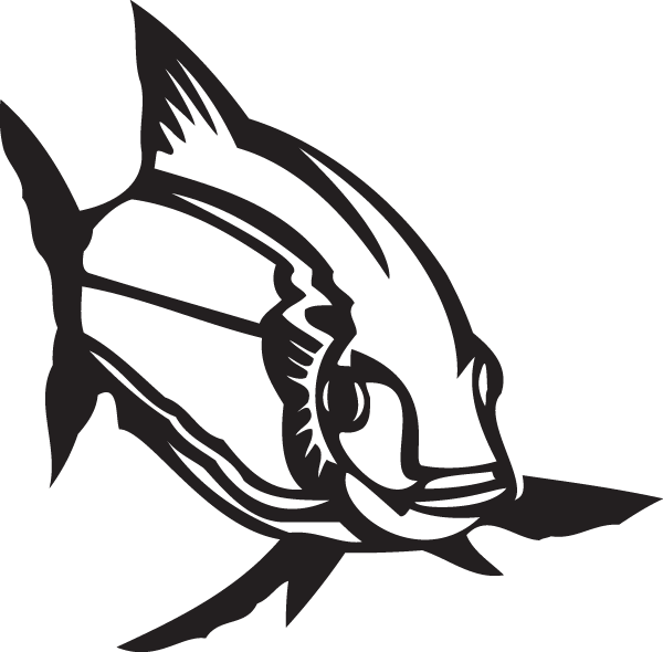 Decal Clipart (600x590), Png Download