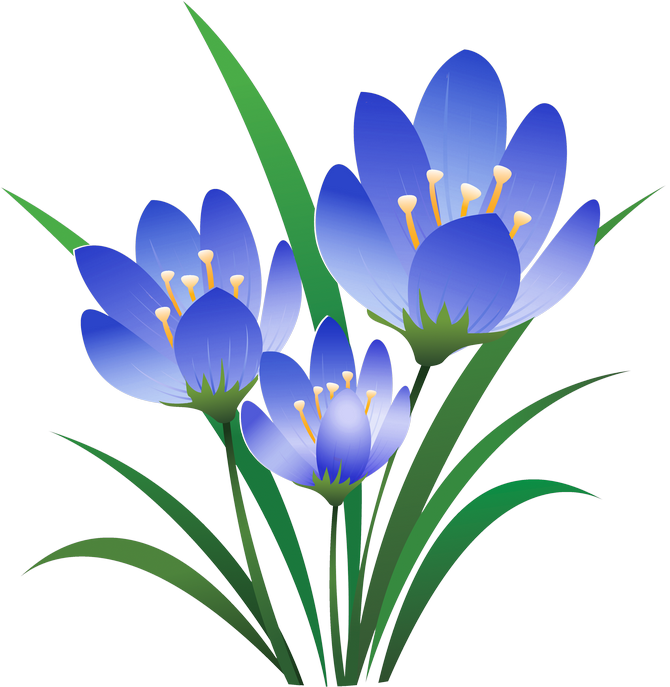 Художественные Фотографии, Роза, Смешение Цветов, Красивые - Quotes On Eid Ul Fitr Clipart (670x687), Png Download