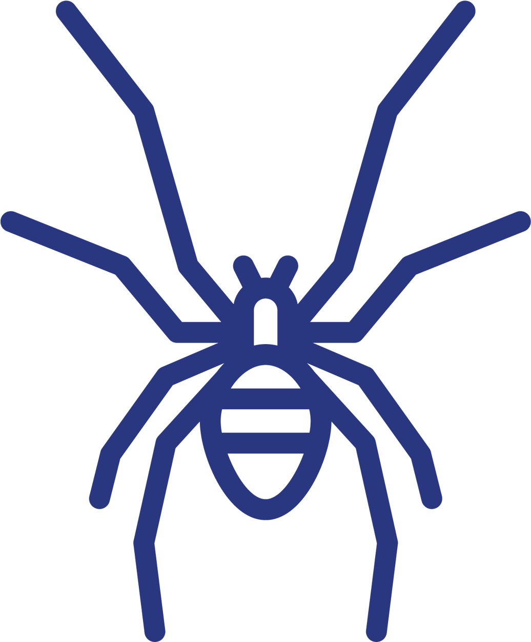 Download Your Spider Fact Sheet - Spider Clipart (1440x1440), Png Download