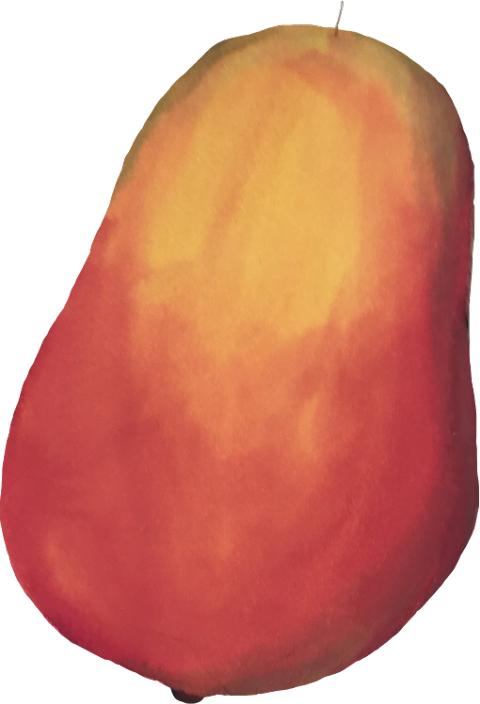 Apple Clipart (480x704), Png Download