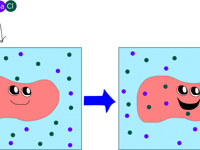 Meat Clipart Corn Beef - Png Download (640x480), Png Download