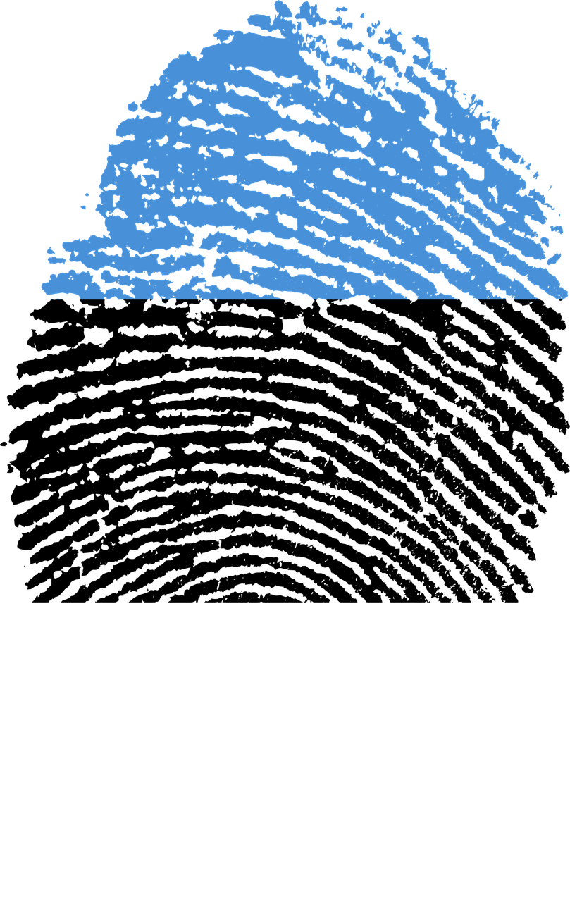 Estonia Flag Fingerprint Country Png Image Clipart (809x1280), Png Download