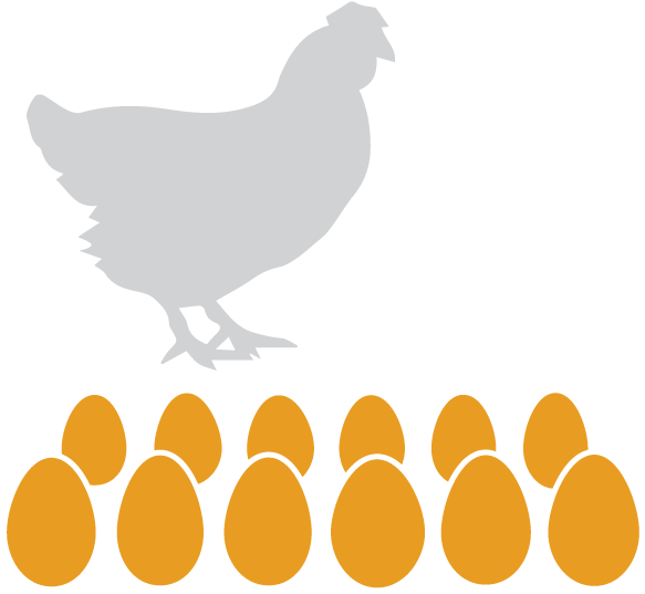 Eggs Dozen Clipart (601x601), Png Download