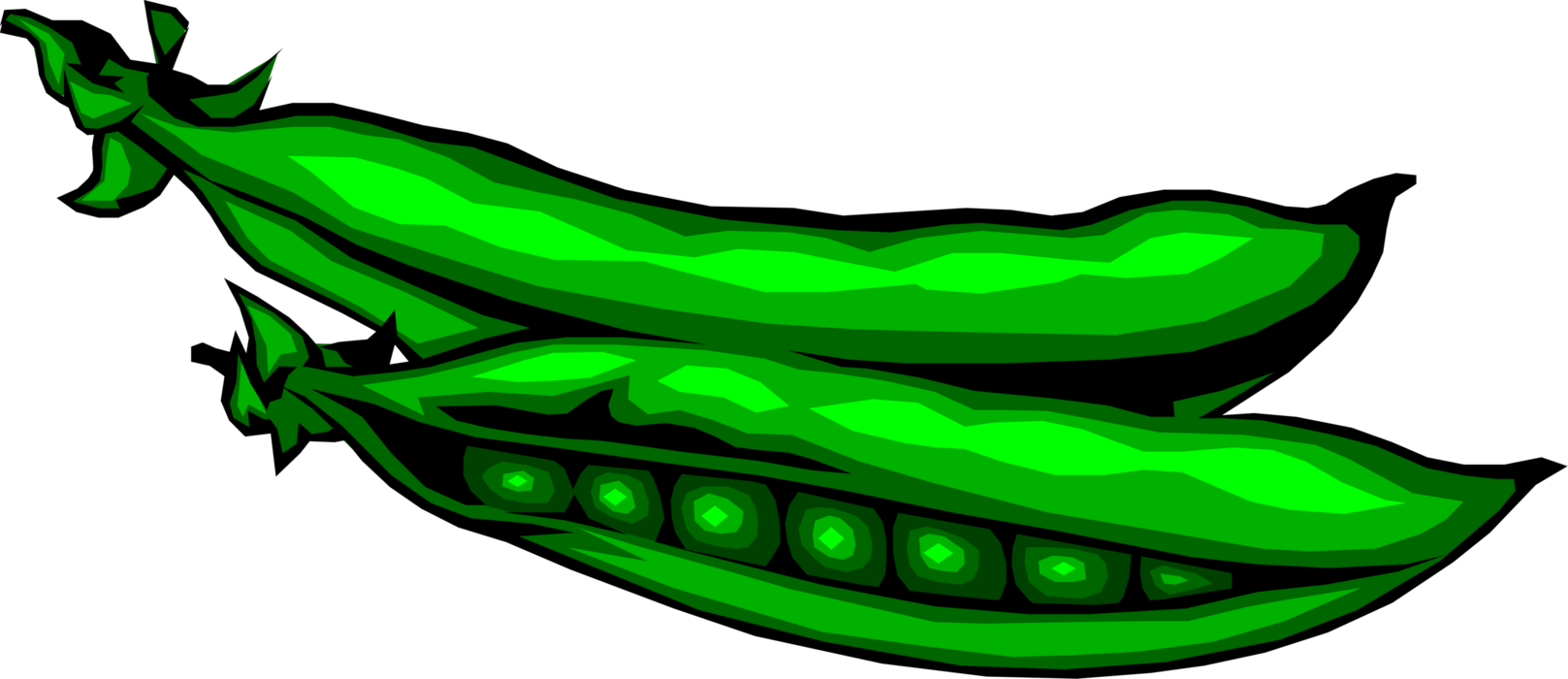 Green Peas Seed Pod Image Illustration Of Clipart (1617x700), Png Download