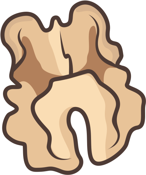 Studio Nut Clipart (560x612), Png Download