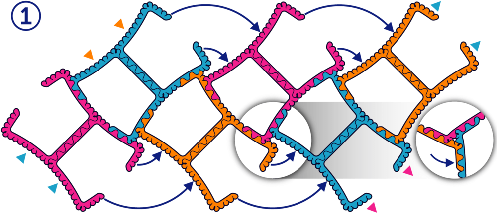 12 Stem Ball Step - Subculture Music Clipart (1000x500), Png Download