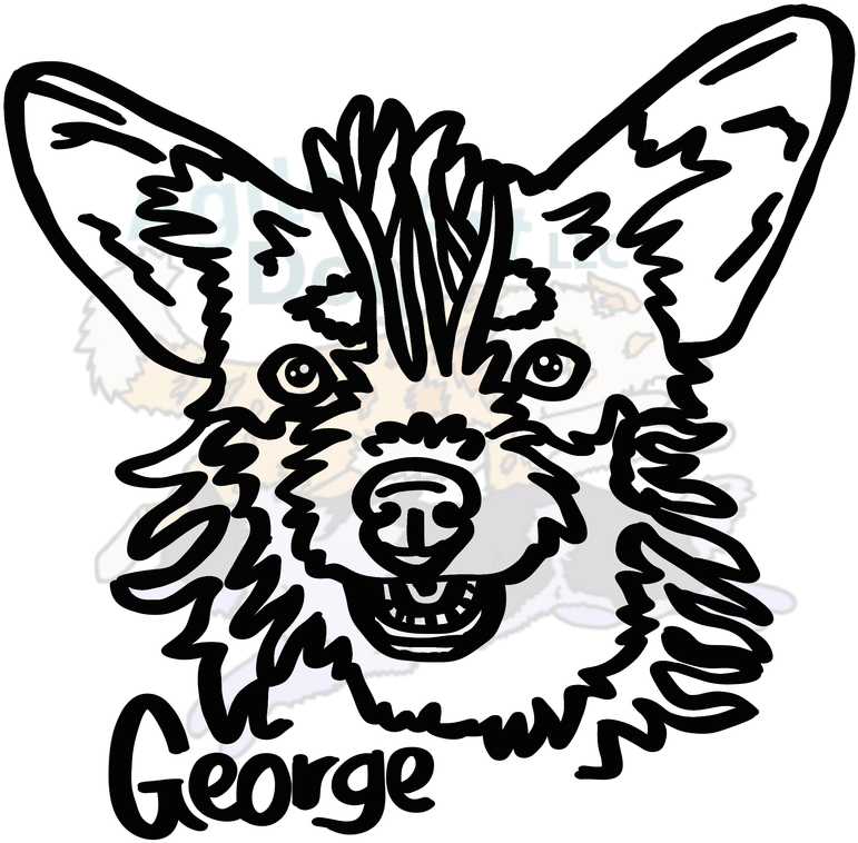 Silhouette Decals - Illustration Clipart (800x800), Png Download