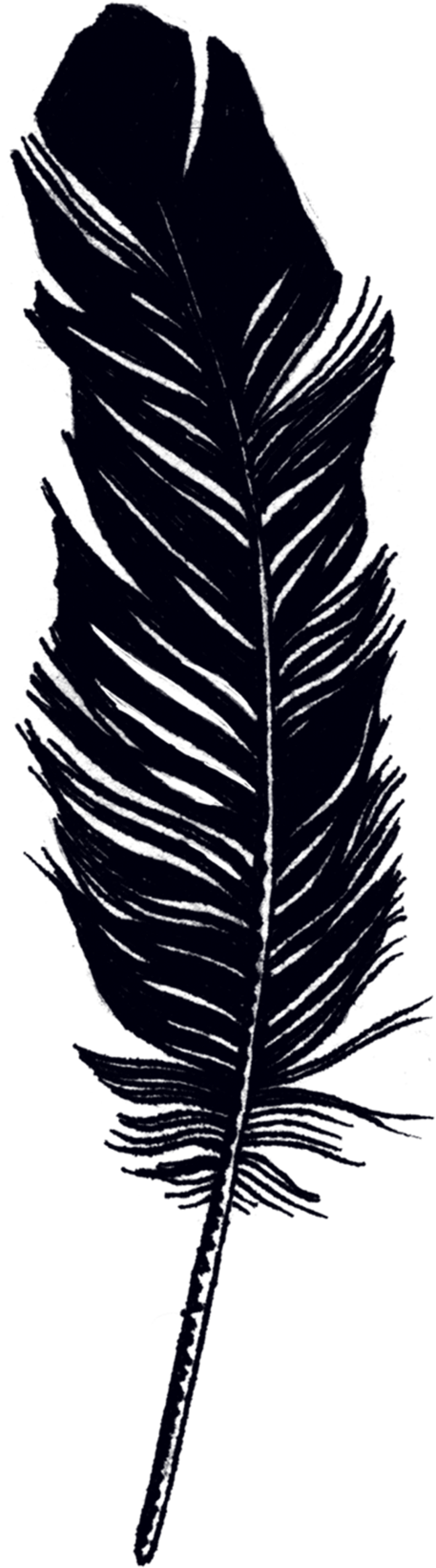 Feather - Tattly Temporary Tattoos - Remix One - Set Of 8, Black Clipart (2048x2048), Png Download