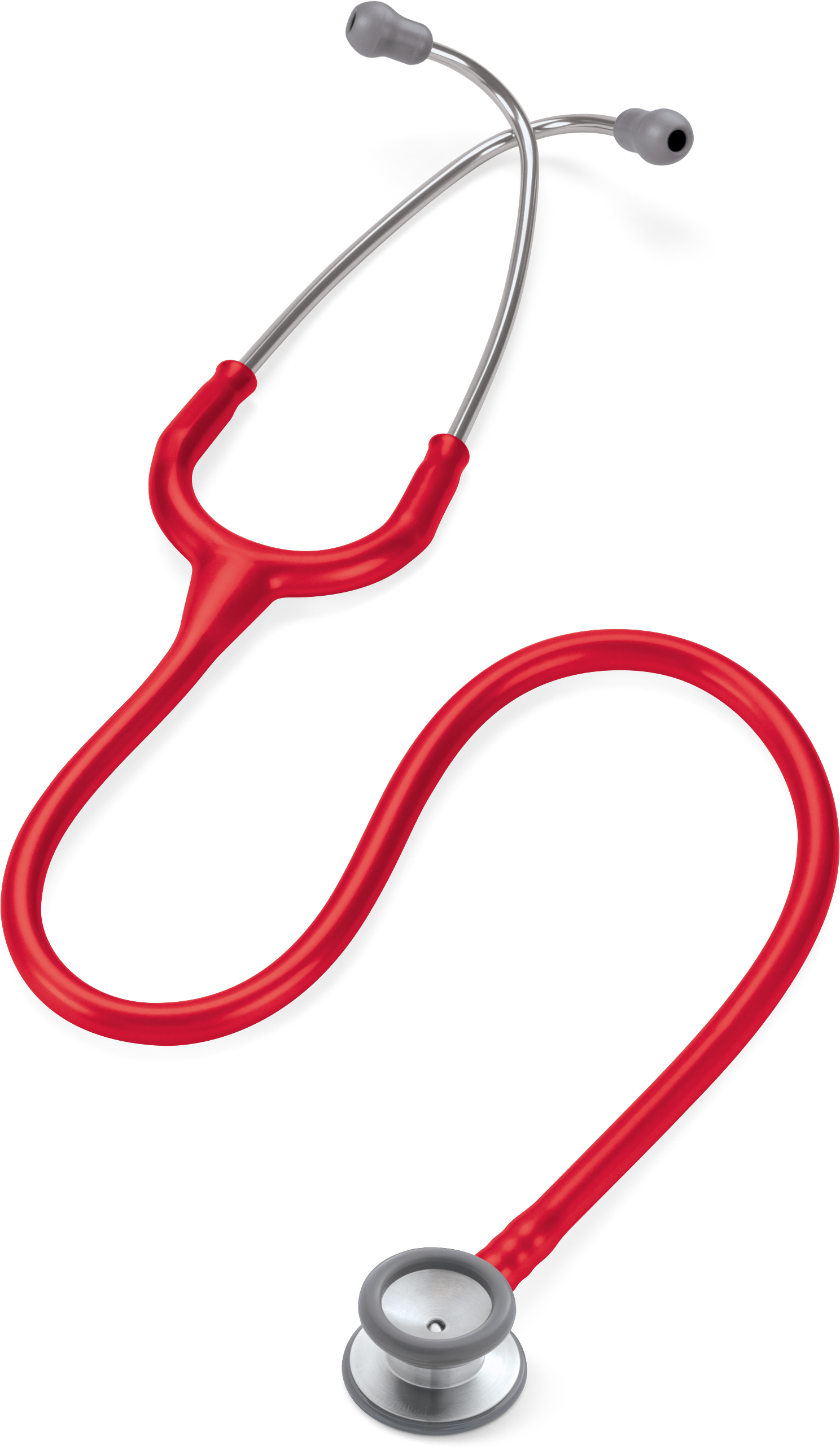 Transparent Stethoscope Pdf Clipart Free Download - Png Download (1811x2778), Png Download