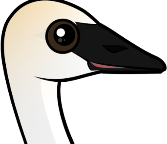 Swan Clipart Trumpeter Swan - Cygnini - Png Download (640x480), Png Download
