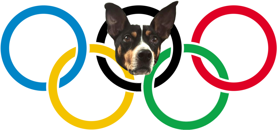 Future Of Winter Skating On Thin Ice - Olympic Games Clipart (1024x497), Png Download