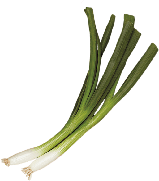 2 Unit - Leek Clipart (640x640), Png Download