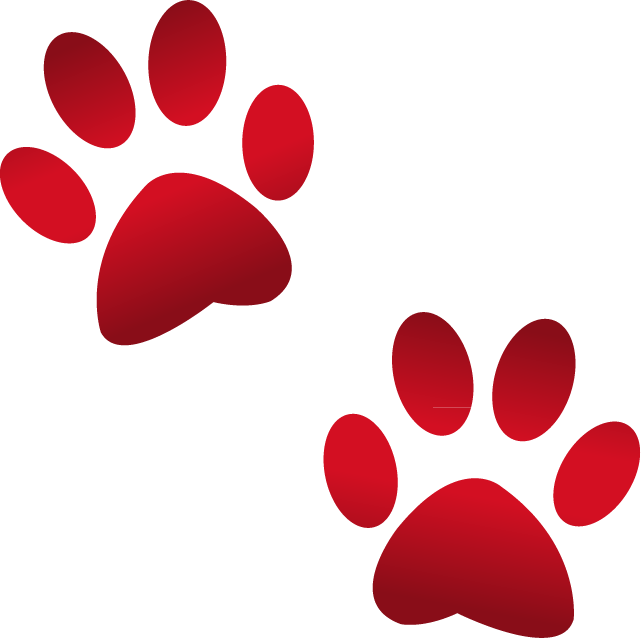 Animals - Paw Print Emoji Png Clipart (641x638), Png Download