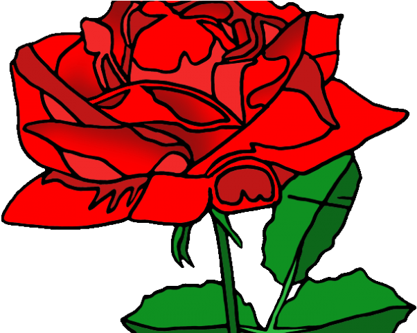 Red Rose Clipart American Beauty - State Flower Washington Dc - Png Download (640x480), Png Download