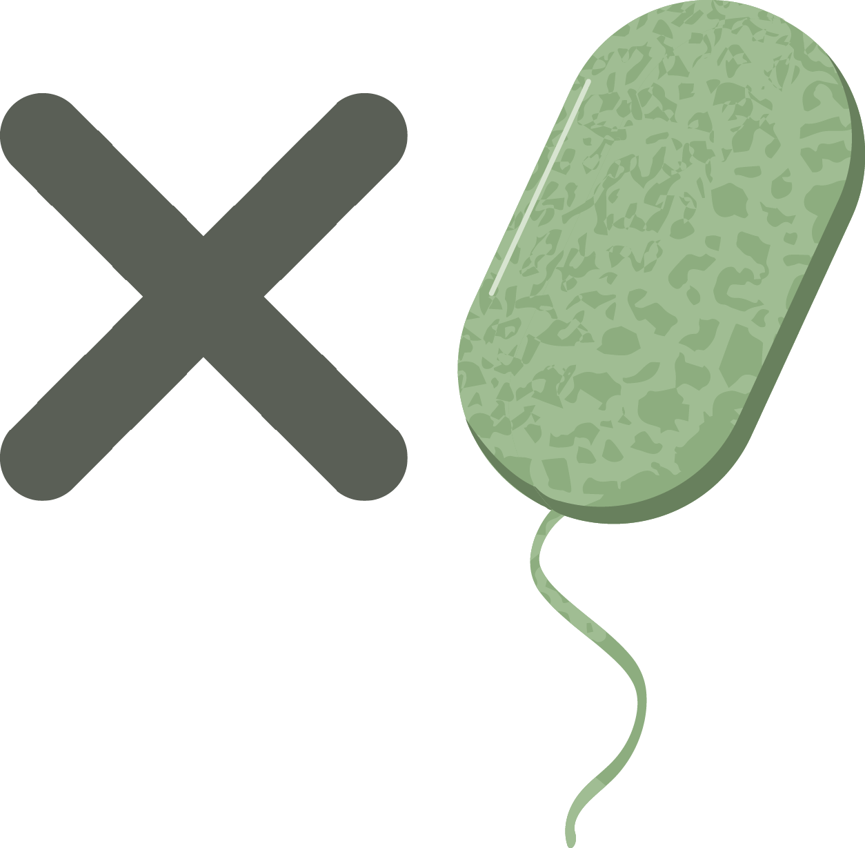 In The Settings Of Most Browsers, Graphics Can Be Turned - Correct And Wrong Clipart (1254x1229), Png Download