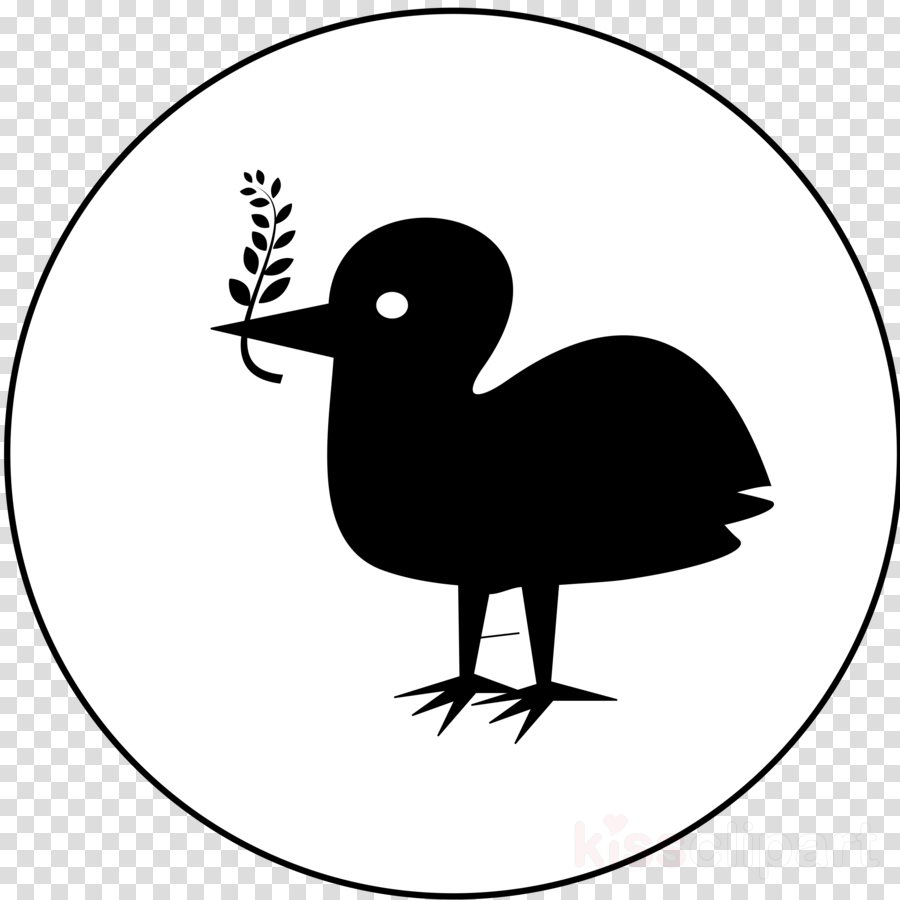 Clip Art Clipart Duck Silhouette Clip Art - Instagram Icon White Png Transparent Png (900x900), Png Download